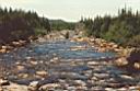 salmonriver.jpg